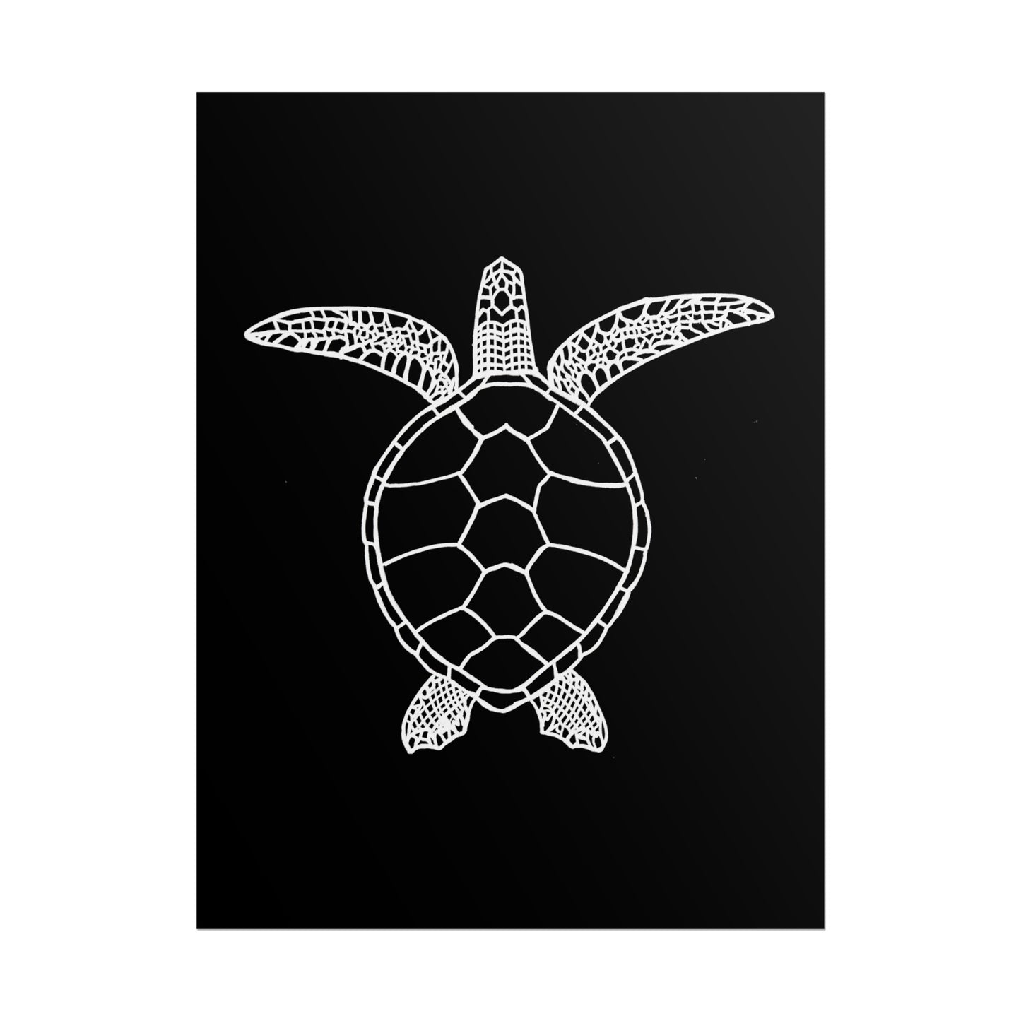 Sea Turtle Poster